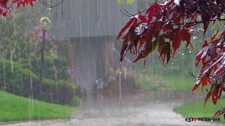 মেঘলা দিন কাটানোর সেরা টিপস