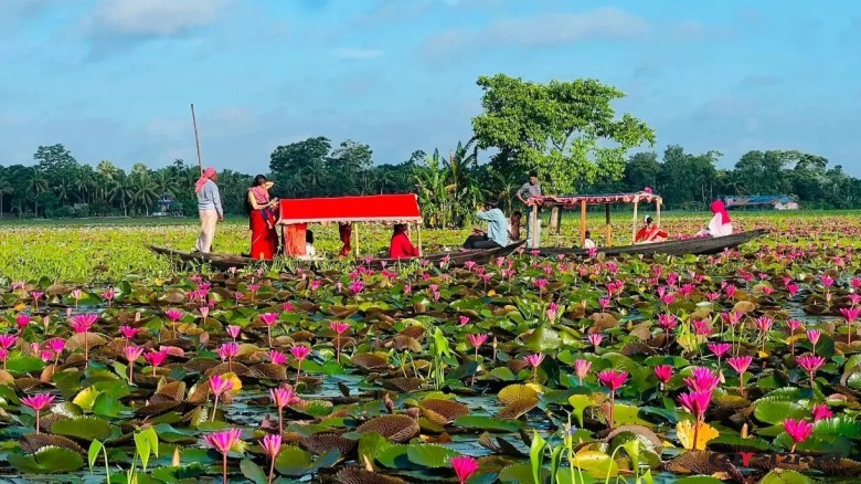 লাল শাপলা দেখতে নেমে আর ফেরা হলো না কলেজছাত্রের