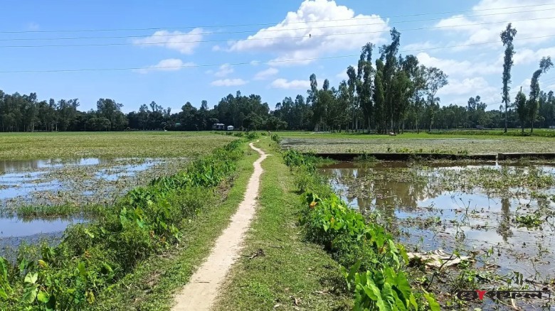 কুড়িগ্রামের চিলমারীতে ৫ প্রকল্পে কাজ ছাড়াই প্রায় ১৪ লাখ টাকা আত্মসাতের অভিযোগ