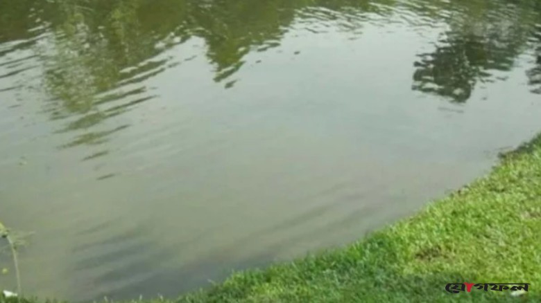 ছোট ভাইকে বাঁচাতে গিয়ে প্রাণ গেল দুই ভাইয়ের