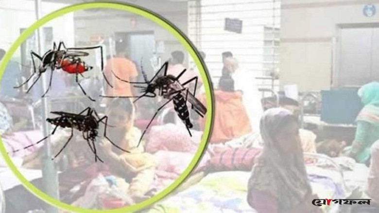 খুলনায় ডেঙ্গুতে আরও ১ জনের মৃত্যু, হাসপাতালে ভর্তি ৬৭