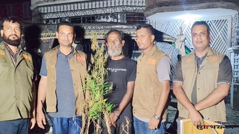 গোপালগঞ্জে গাঁজা গাছসহ ব্যক্তি আটক
