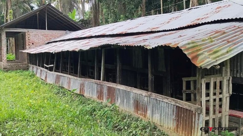 কাগজে ১১০ শিক্ষার্থী, বাস্তবে নেই একজনও, শ্রেণিকক্ষে ঘুরে বেড়াচ্ছে ছাগল