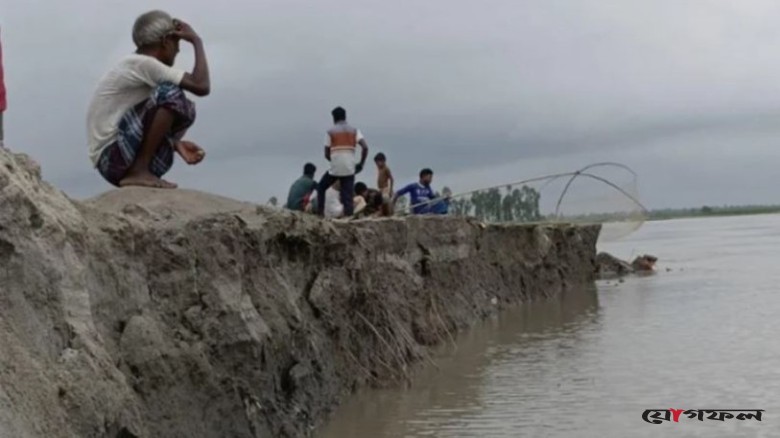 তিস্তার ভাঙনে সাত দিনে বিলীন ৩৮৬ ঘরবাড়ি